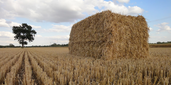 Ballen mit hoher Dichte